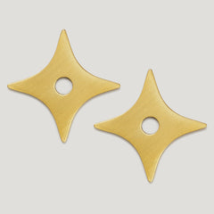 ADA Pair of Small Star Handle Backplates - Satin Brass