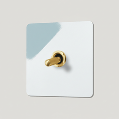 KEPLER 1G Paintable Toggle Switch - Brass
